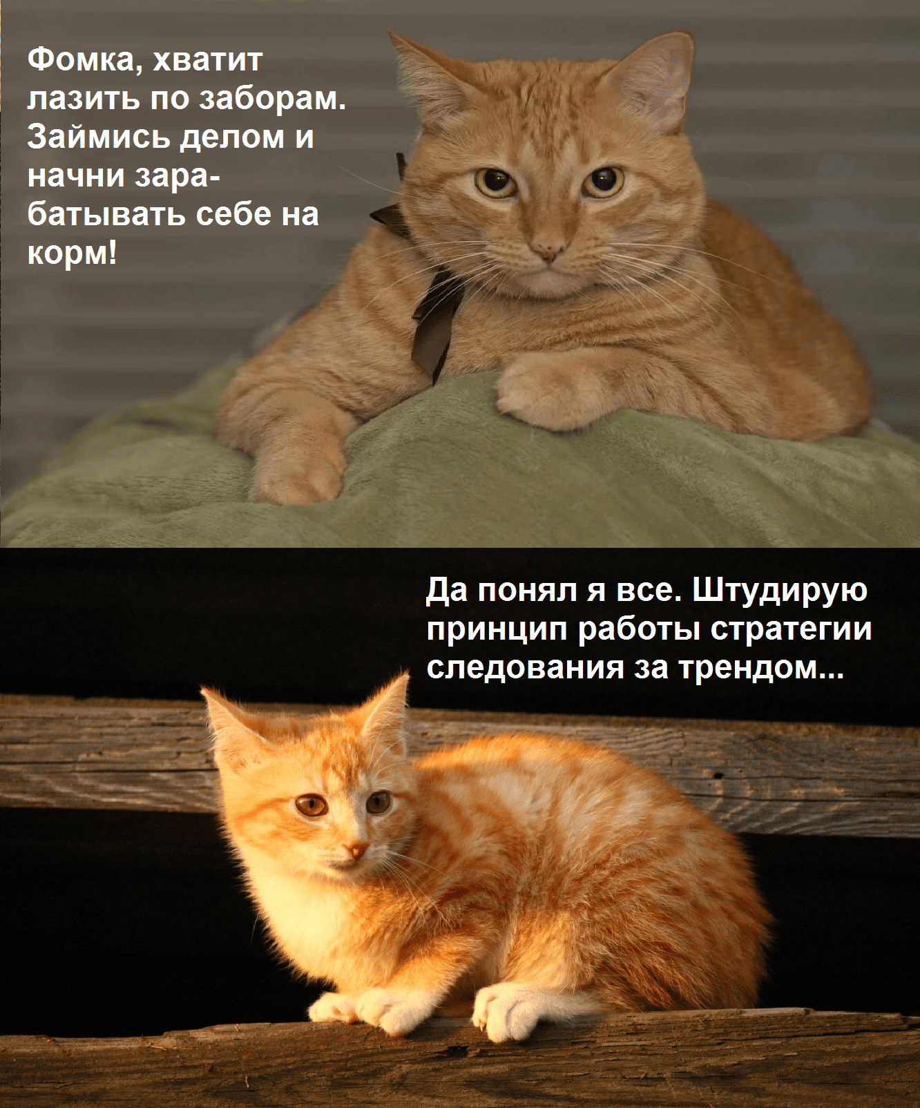 3 (2).png