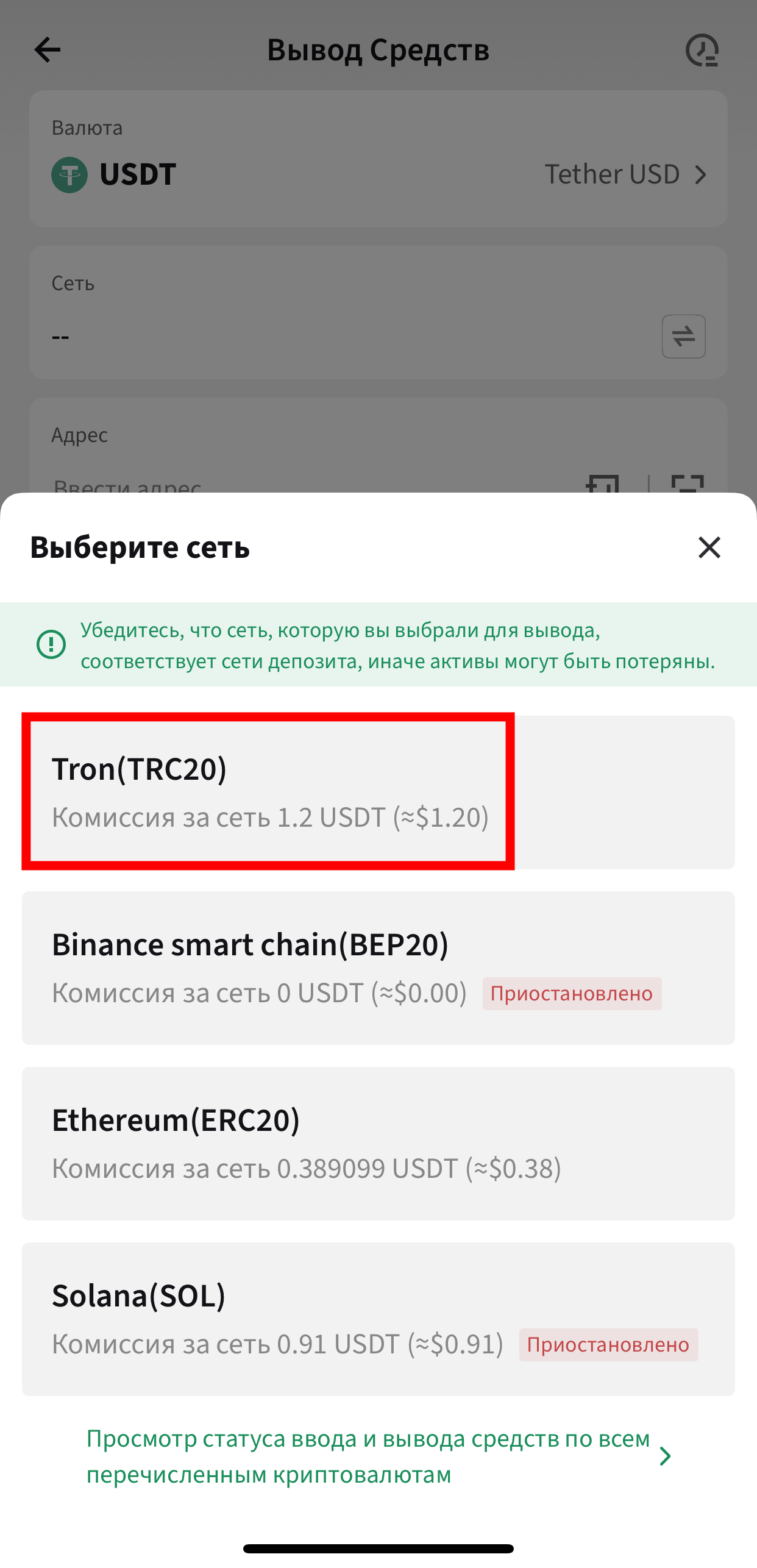 Шаг 12